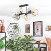 Ripoll Taklampa, kullampa Amber, Klart, Rökfärger, 6-ljuskällor