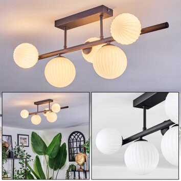 Chehalis Taklampa, kullampa Vit, 5-ljuskällor