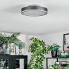 Salmi Taklampa, Panel LED Grått, Silver, 1-ljuskällor