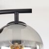 Koyoto Taklampa, kullampa Klart, Rökfärger, 2-ljuskällor