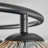 Ripoll Taklampa, kullampa Amber, Klart, 3-ljuskällor