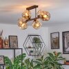 Ripoll Taklampa, kullampa Amber, 6-ljuskällor