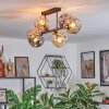 Ripoll Taklampa, kullampa Amber, Rökfärger, 6-ljuskällor