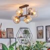 Ripoll Taklampa, kullampa Amber, Klart, Rökfärger, 6-ljuskällor