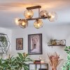 Ripoll Taklampa, kullampa Amber, Klart, Rökfärger, 6-ljuskällor