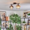 Koyoto Taklampa, kullampa Amber, Klart, Rökfärger, 2-ljuskällor