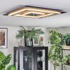 Lidor Taklampa LED Antracit, Grått, Svart, 1-ljuskällor