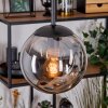 Gastor Pendellampa, kullampa, Pendelbelysning Amber, Klart, Rökfärger, 3-ljuskällor