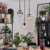 Gastor Pendellampa, kullampa, Pendelbelysning Amber, Klart, Rökfärger, 3-ljuskällor