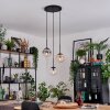 Gastor Pendellampa, kullampa, Pendelbelysning Amber, Klart, Rökfärger, 3-ljuskällor