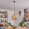 Koyoto Pendellampa, kullampa, Pendelbelysning Guld, 1-ljuskällor