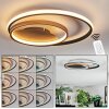 Trapani Taklampa LED Guld, Svart, 1-ljuskällor, Fjärrkontroll