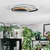 Trapani Taklampa LED Guld, Svart, 1-ljuskällor, Fjärrkontroll
