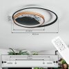 Trapani Taklampa LED Guld, Svart, 1-ljuskällor, Fjärrkontroll