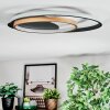 Trapani Taklampa LED Guld, Svart, 1-ljuskällor, Fjärrkontroll