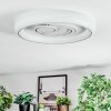 Rarel Taklampa LED Silver, Vit, 1-ljuskällor