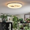 Rarel Taklampa LED Silver, Vit, 1-ljuskällor