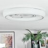 Rarel Taklampa LED Silver, Vit, 1-ljuskällor