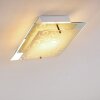 Rusty Taklampa Grått, Genomskinlig, klar, 2-ljuskällor