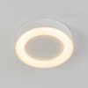 Paleroo Taklampa för utomhusbruk, Taklampa LED Vit, 1-ljuskällor