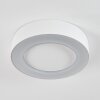 Paleroo Taklampa LED Vit, 1-ljuskällor