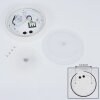 Paleroo Taklampa LED Vit, 1-ljuskällor