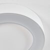 Paleroo Taklampa LED Vit, 1-ljuskällor