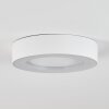 Paleroo Taklampa LED Vit, 1-ljuskällor