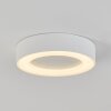 Paleroo Taklampa LED Vit, 1-ljuskällor