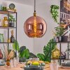 Koyoto Pendellampa, kullampa, Pendelbelysning Guld, 1-ljuskällor