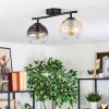 Koyoto Taklampa, kullampa Amber, Klart, Rökfärger, 2-ljuskällor