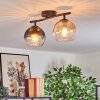 Koyoto Taklampa, kullampa Amber, Klart, Rökfärger, 2-ljuskällor
