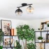 Koyoto Taklampa, kullampa Amber, Klart, Rökfärger, 2-ljuskällor