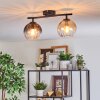 Koyoto Taklampa, kullampa Amber, Klart, Rökfärger, 2-ljuskällor