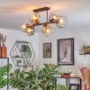 Ripoll Taklampa, kullampa Amber, Klart, Rökfärger, 6-ljuskällor