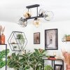 Ripoll Taklampa, kullampa Amber, Klart, Rökfärger, 6-ljuskällor