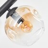 Ripoll Taklampa, kullampa Amber, Klart, Rökfärger, 6-ljuskällor