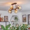 Ripoll Taklampa, kullampa Amber, Klart, Rökfärger, 6-ljuskällor