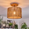 Cando Taklampa Naturfärger, Svart, 1-ljuskällor