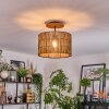 Cando Taklampa Naturfärger, Svart, 1-ljuskällor
