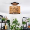 Cando Taklampa Naturfärger, Svart, 1-ljuskällor