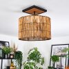 Cando Taklampa Naturfärger, Svart, 1-ljuskällor
