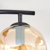 Ripoll Taklampa, kullampa Amber, Klart, Rökfärger, 2-ljuskällor