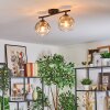 Ripoll Taklampa, kullampa Amber, Klart, Rökfärger, 2-ljuskällor