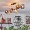 Ripoll Taklampa, kullampa Amber, Klart, Rökfärger, 10-ljuskällor