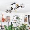 Ripoll Taklampa, kullampa Amber, Klart, Rökfärger, 10-ljuskällor