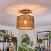 Cando Taklampa Naturfärger, Svart, 1-ljuskällor
