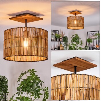 Cando Taklampa Naturfärger, Svart, 1-ljuskällor