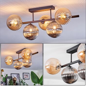Chehalis Taklampa, kullampa Amber, Rökfärger, 5-ljuskällor