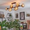 Ripoll Taklampa, kullampa Amber, 10-ljuskällor